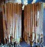 Trzcina 20 pakietów 