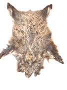 skóra z dzika zimowa suknia kompletna z ratkami