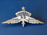 US Army Freefall Parachutist Qualification Badge (HALO) - Senior - Prototyp