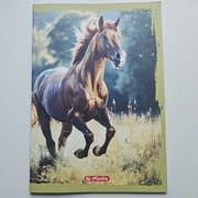 Zeszyt A4 / 32 kartki Herlitz w kratkę 