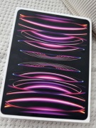 Stan Igła iPad Pro 12,9" 6. gen (M2) | 128 GB | Space Gray | Bateria 99.5% 