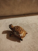 Pamiątka z Gili Air Indonezja żółw 