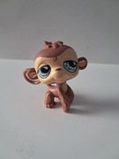 Littlest Pet Shop LPS małpa