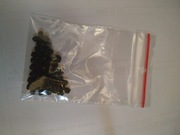 Szpinak malabarski, malabar, nasiona 2 gramy