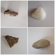 Zestaw dekoracyjny do formikarium mrówki (3)