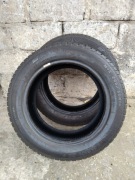 opony zimowe SAVA 205/55 R16 2 szt.
