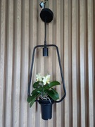 Sprzedam lampę  sufitową wisząca.