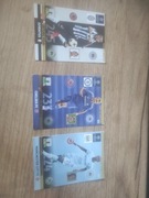 karty piłkarskie chmapions leauge 2013-2014