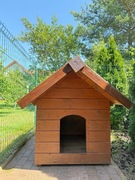 Buda z kurtyną dla dużego psa