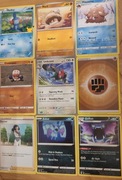 9 kart pokemon w tym jedna ewolucja