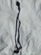 Kabel serwerowy HP REV N AX 22JAN/08 – przewód sygnałowy