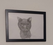 Obraz rysowany ręcznie ołówkiem , wielkość A4