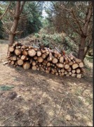 Sosna na opał - cięta lub rąbana