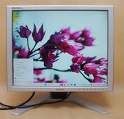 PHILIPS HNP7190T 19” LCD MONITOR Dual DVI MONITOR