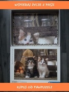 puzzle kompletne ułożone Lovely Kittens 1000 clementoni