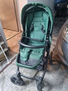 Bebetto Flavio zielony