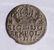 Grosz 1624, Zygmunt III Waza