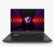 Laptop Vector 16 HX A14V