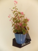 Kwietnik naścienny wzór "Diament"   