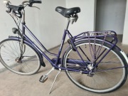 Rower SIMPLEX Trend - typ holenderski damka