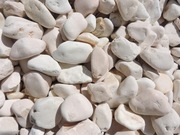 Otoczak Corallo Kora Kamień Łupek Marianna Bazaltowy Thasos Jaworzno