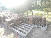 Dachówka ceramiczna – około 3000 sztuk – zdjęta ze stodoły