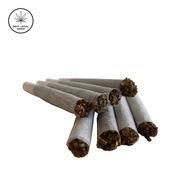 10x Joint CBD Jack Herer 49% fajka blant skręt beznikotynowy szlug