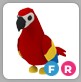 FR Parrot / Adopt Me / Roblox