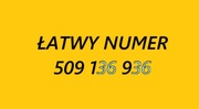 Złoty srebrny łatwy numer 509 136 936 BCM starter prosty karta prepaid SIM