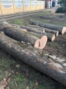 Kłody jesionu 7 sztuk