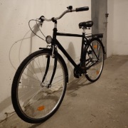 Rower męski Triumph Kultrad 28"