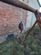 Kręciołek ogrodowy 