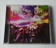 Black Stone Cherry Magic Mountain CD