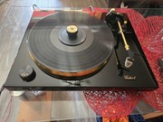 DUAL DOLDEN 1 wysokiej klasy wkladka