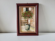 Obraz w ramie Drzewko różane 