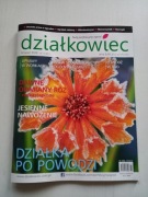 Miesięcznik Działkowiec nowy na miesiąc 11/2024r wydawnictwo Działkowiec