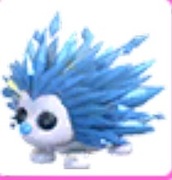 Ice Porcupine adopt me Roblox
