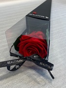 Róża stabilizowana / wieczna