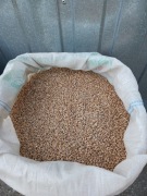 Pszenżyto ozime ładne sprzedam