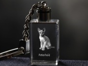 Peterbald brelok sześcienny Świecący