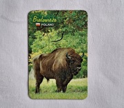 magnes na lodówkę - Białowieża - Polska 