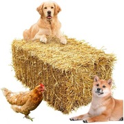 Słoma owsiana kostki kostka ekologiczna zbiór 2025 kąpiele ze słomy