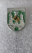 Herb ZIELONA GÓRA - wpinka