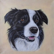 Border collie - obraz olejny na płótnie - ręcznie malowany - 30x30 cm