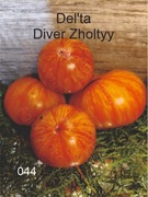 044-Del'ta Diver Zholtyy. Pomidory kolekcjonerskie.
