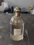 GUERLAIN Aqua Allegoria Nettare Di Sole perfumy
