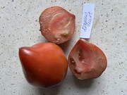 Pomidor Lineaus Heart kolekcjonerskie nasiona