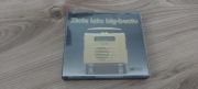 Złote lata big-beatu