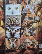 Fi 4812 - 4815 Polskie ptaki  - ARKUSZ