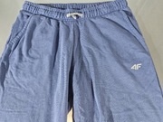 Spodnie Dresowe Dziewczęce 4F Rozmiar 164